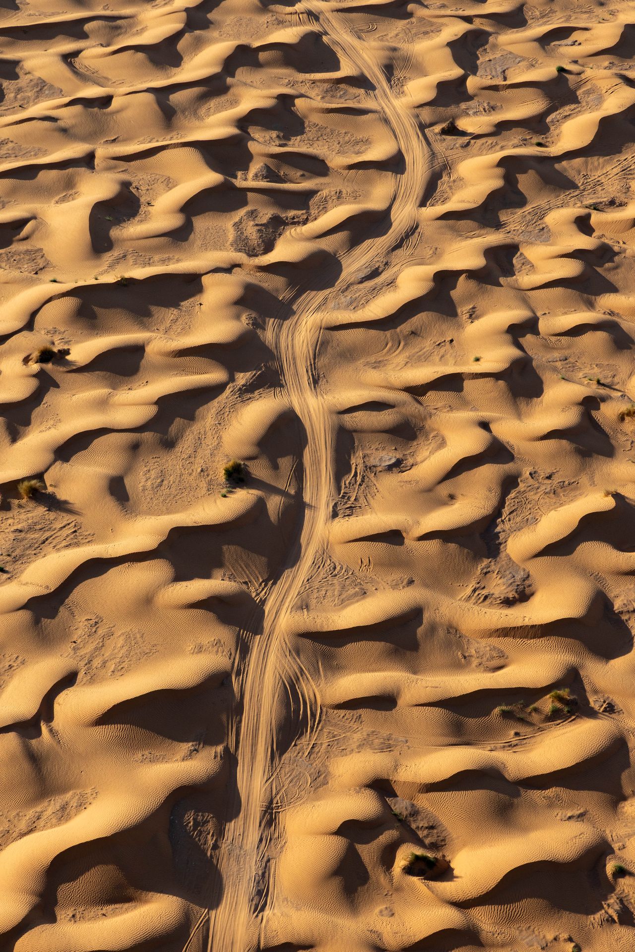 4x4 Jimny Sahara DesertFlow